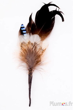 Composition en plumes n° 13 - longueur 12 cm - naturel